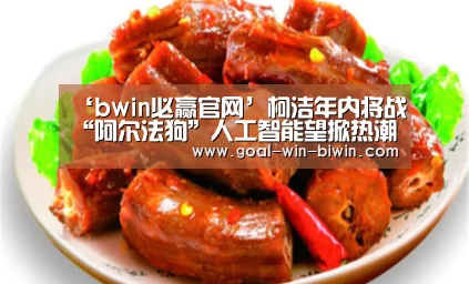 ‘bwin必赢官网’柯洁年内将战“阿尔法狗”人工智能望掀热潮(图2) 必赢bwin